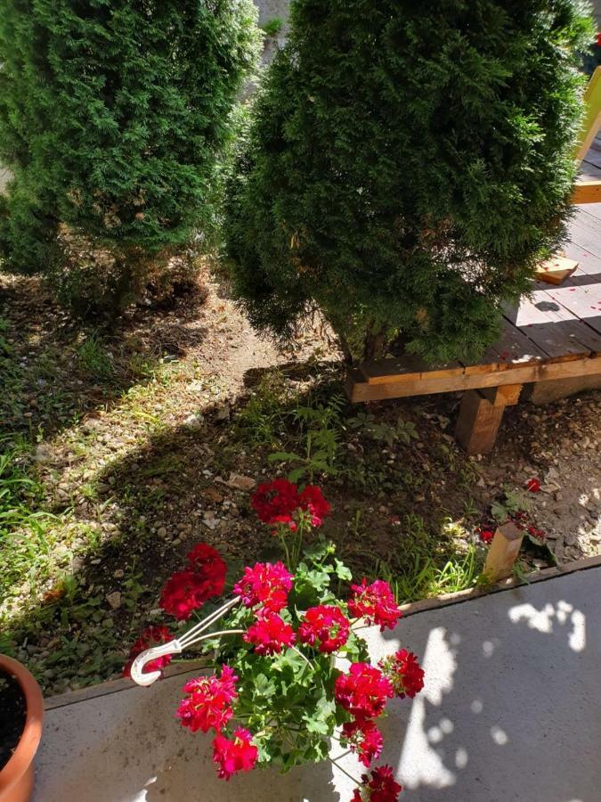 Tranzitbeds*** Aparthotel Bukares Bagian luar foto